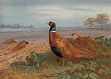 Archibald Thorburn Famous Paintings - The Sentinel